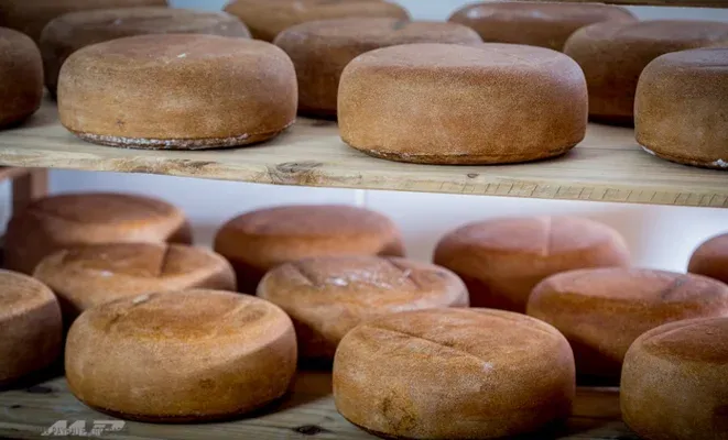 Photographie de fromages