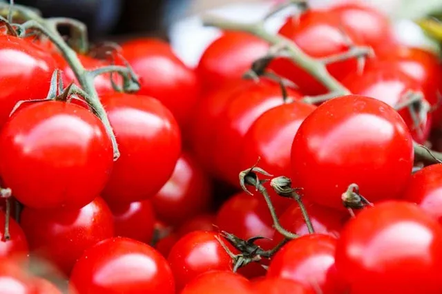 tomates rouges brillantes entassées avec quelques tiges vertes visibles